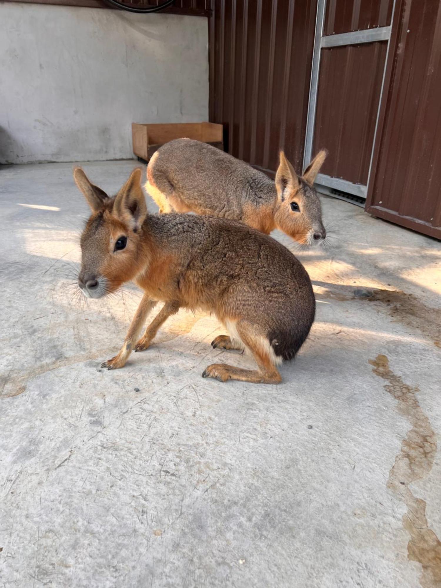River Forest Leisure Farm Dongshan  Luaran gambar