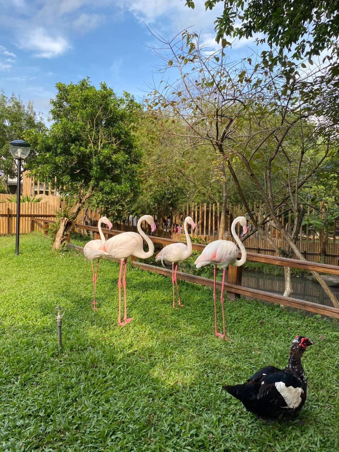 River Forest Leisure Farm Dongshan  Luaran gambar