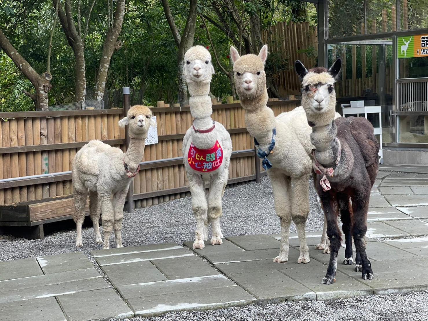 River Forest Leisure Farm Dongshan  Luaran gambar