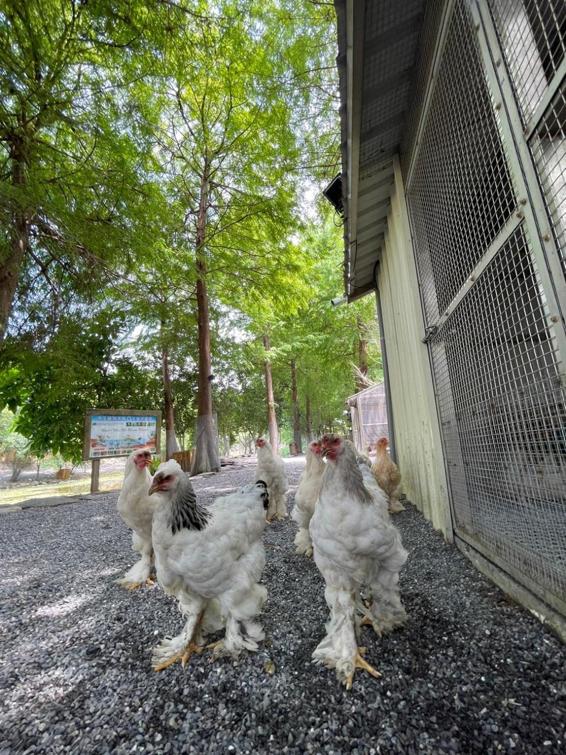 River Forest Leisure Farm Dongshan  Luaran gambar